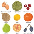 Set of fruits on white background