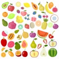 Set of fruits on a white background, different tropical fruits and berries. Exotic fruit set. Vector. EPS 10 Royalty Free Stock Photo