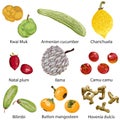 Set of fruits on white background