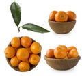 Set of frwsh tangerines isolated on white. Mandarins in a wooden bowl with copy space for text. Ripe and tasty tangerines isolated Royalty Free Stock Photo