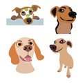 Set of 4 fun funny puppies each puppy isolated image on