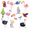 Set funny African birds Royalty Free Stock Photo