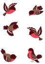 Set funny birds Royalty Free Stock Photo