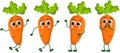 Set of funny carrots in different positions