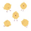 Set of funny cartoon five yellow chicken in various poses. Cute and funny colorful set chicken running standing sitting. Vector