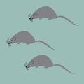 Set of funny cartoon rats, sample for fabric and Wallpaper