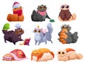Set of funny cats cartoon characters, home pets Royalty Free Stock Photo