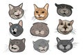 Set of funny cats. Collection of portraits of crooked cats. Cat head cartoon. Vector illustration of pets.