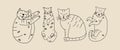 A set of funny cute cats in different poses in doodle style. Collection in different poses of pets. Vector illustration