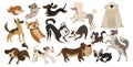 Set of funny dogs. Collection of cartoon playing dogs. Vector illustration of happy pets for kids. Set of purebred dogs. Royalty Free Stock Photo