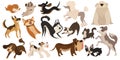 Set of funny dogs. Collection of cartoon playing dogs. Vector illustration of happy pets for kids. Set of purebred dogs.