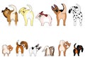 Set of funny dogs showing their butts Royalty Free Stock Photo