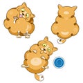 Set of funny ginger cats. The cat washes, asks for food, is offended. Vector