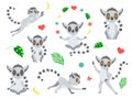 Set funny gray lemur - dance, meditation, levitation, jump, calm. The fluffy striped tail curves. Cute baby animal in cartoon