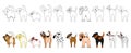 Set of funny large dogs showing their butts Royalty Free Stock Photo