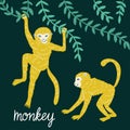 Set of funny monkeys in different poses. Vector hand drawn illustration. Royalty Free Stock Photo