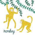 Set of funny monkeys in different poses. Vector hand drawn illustration. Royalty Free Stock Photo