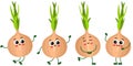 Set of funny onion mascot in different positions