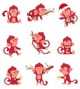 Set Of Funny Red Monkeys In Different Actions And Poses Vector Illustration Chartoon Caracter Royalty Free Stock Photo