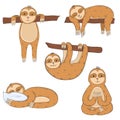 Set of funny sloths lying on branch and sleeping hand drawn