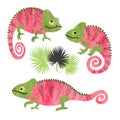 Set of funny watercolor chameleons. Vector lizards
