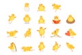 Set of funny yellow chicken in various situations. Cartoon character of little farm bird. Isolated flat vector design