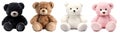 Set of fur plush stuffed teddy bear, black, white, brown, pink on transparent background cutout, PNG file. Many assorted