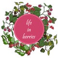 Set of garden berries and green twigs in circle badge, blackberry, raspberry, red currant, gooseberry.