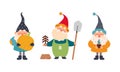 Set of garden gnomes. Dwarfs holding pumpkin and fir tree seedling, cute fairy tale characters cartoon vector