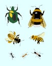 Set of garden insects, vector illustration