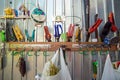 A barn with many old things and a variety of tools on the shelves