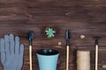 Set of garden tools and flower pots for transplanting flowers on a dark wooden background. Place for an inscription Royalty Free Stock Photo