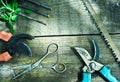Set of garden tools. Pruning in the garden. Royalty Free Stock Photo