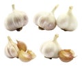 Set of Garlic Heads, isolated on transparent background Royalty Free Stock Photo