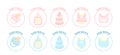 Set gender badges or icons of baby items pacifier, feeding bottle, pyramid, costume, bib and text for girls and for boys. Royalty Free Stock Photo