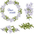 Set of gentle violet spring flowers on a white background. Vector floral brushes and wreath for decoration of cards, Royalty Free Stock Photo