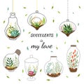 Geometric terrariums with plants, succulents and cacti. Royalty Free Stock Photo