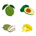 Set of geometric fruits