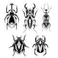 Set of geometric monochrome insects with poly decorations. Vector black silhouette of geometrical stag beetle, flying ant, ladybug