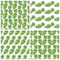 Set of geometric patterns with bunches of green grapes and leaves. Vector Royalty Free Stock Photo