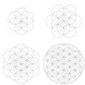 Set of geometrical elements and shapes. Sacred Geometry Flower of Life development. Royalty Free Stock Photo