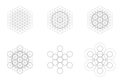 Set of geometrical elements and shapes. Sacred Geometry Flower of Life and Metatron Cube transition. Royalty Free Stock Photo