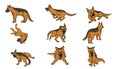 Set of german shepherd dogs, vector illustration Royalty Free Stock Photo