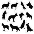 Set of German Shepherd Silhouette vector Illustration Eps10 Royalty Free Stock Photo