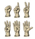 Set of gestures hands counting from zero to five Royalty Free Stock Photo