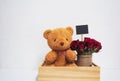Set gift Teddy bear and roses with message board with space for