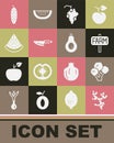 Set Ginger root, Broccoli, Location farm, Grape fruit, Knife, Watermelon, Cucumber and Avocado icon. Vector