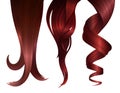 Set of Ginger Wavy Strands of Hair. Vector Realistic 3d Illustration.