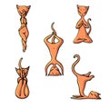 A set of ginger yoga cats in the style of children`s illustration.