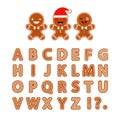 Set Gingerbread Alphabet. Christmas gingerbread letters with glaze.